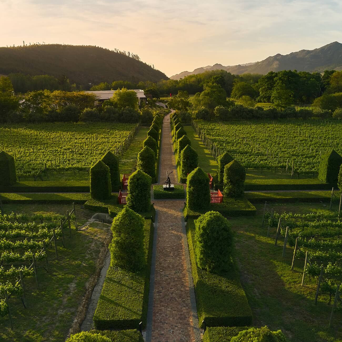 67bc549b247a5-Leeu Estates - Landscape (5)@2x